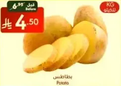 بطاطس