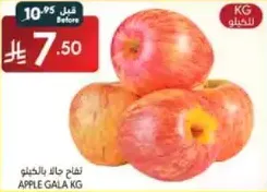 Gala apples sold by the kilogram.