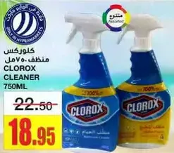 كلوركس منظف 750مل