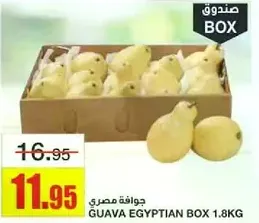 Egyptian Guava Box 1.8KG