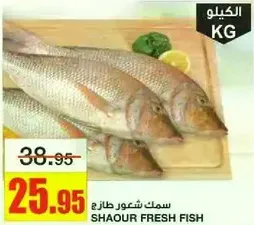 SHAOUR FRESH FISH