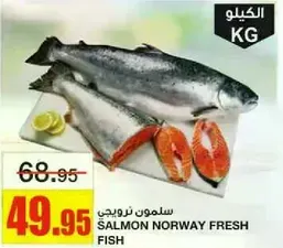 Fresh Norwegian Salmon Fish