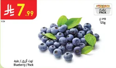 Blueberry / Pack