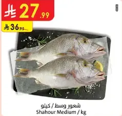 Shahour Medium / kg