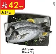 دنيس / كغ
