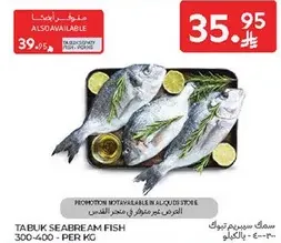 Tabuk Seabream Fish