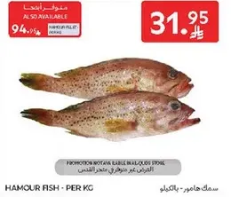 سمك هامور - لكل كيلوجرام