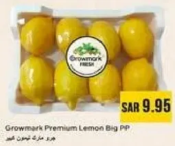 Growmark Premium Lemon Bag PP