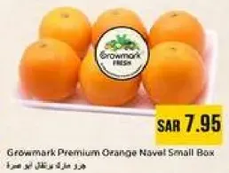 Growmark Premium Orange Navel Small Box