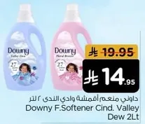 Downy Fabric Softener Cind. Valley Dew 2L