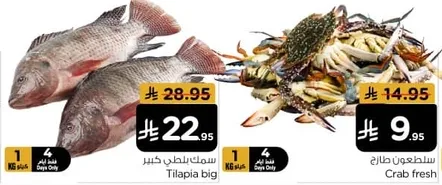 سمك بلطي كبير وسرطان البحر الطازج.