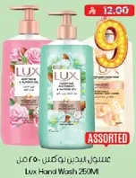 Lux Hand Wash 250ml assorted.