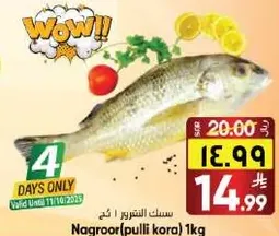 Nagroor (pulli kora) 1kg