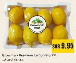 Growmark Premium Lemon Big PP
