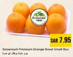 Growmark Premium Orange Navel Small Box