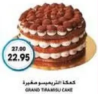 Grand Tiramisu Cake