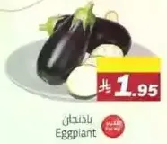 Eggplant
