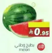 melon
