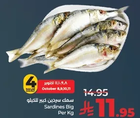 Big Sardines per Kg