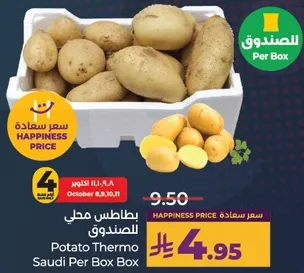 Potato Thermo Saudi Per Box