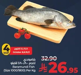 Baramundi Fish (Size 1000/1800) Per Kg