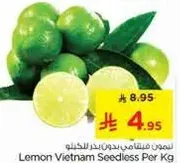 Lemon Vietnam Seedless Per Kg