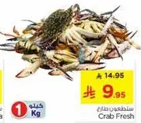 Fresh Crab