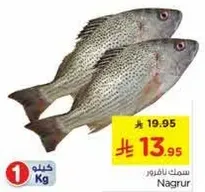 Fresh fish available for sale.
