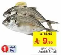 سمك جيميش صغير