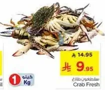 Fresh Crab