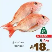 Handak fish