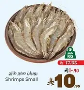 Small fresh shrimps