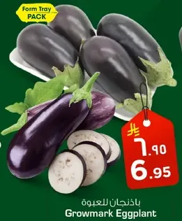 Growmark Eggplant