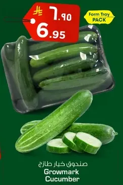صندوق خيار طازج