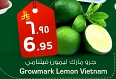 Growmark Lemon Vietnam