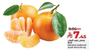 Mandarin Nadorcott South Africa Per Kg