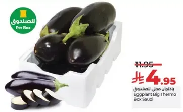 Eggplant Big Thermo Box Saudi