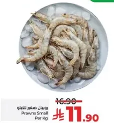 Prawns Small Per Kg