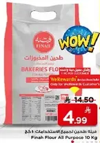 Finah Flour All Purpose