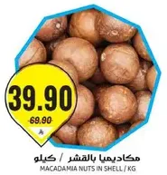 Macadamia nuts in shell.