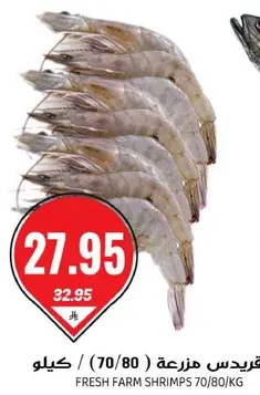 جمبري مزرعه طازجه (70/80) كجم