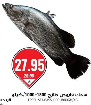 Fresh sea bass 1000-1800gm/kg