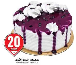 Grand Blueberry Cake