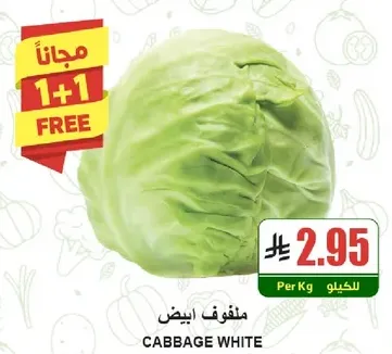 White Cabbage