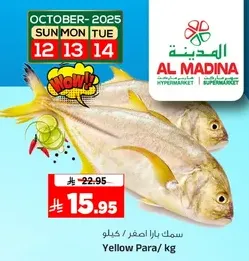 Yellow Para fish