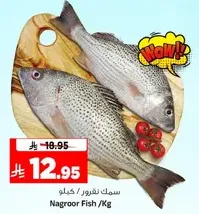 Nagroor Fish /Kg