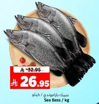 سمك باراموندي