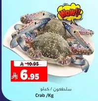 سلطعون /كيلو