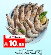 جمبري صغير