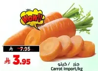 جز / جزر import/kg